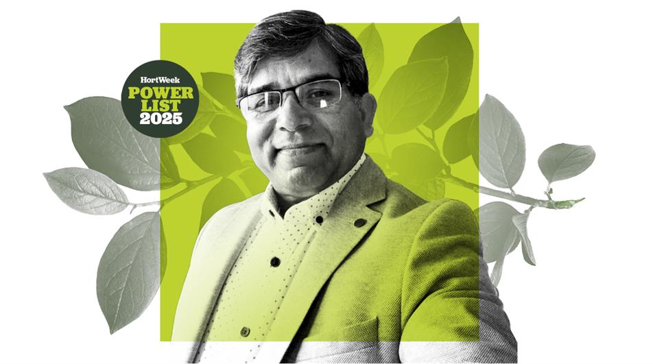 Dr Minshad Ansari